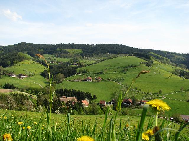 Oberentersbach, Hoefe auf der Nordseite.JPG